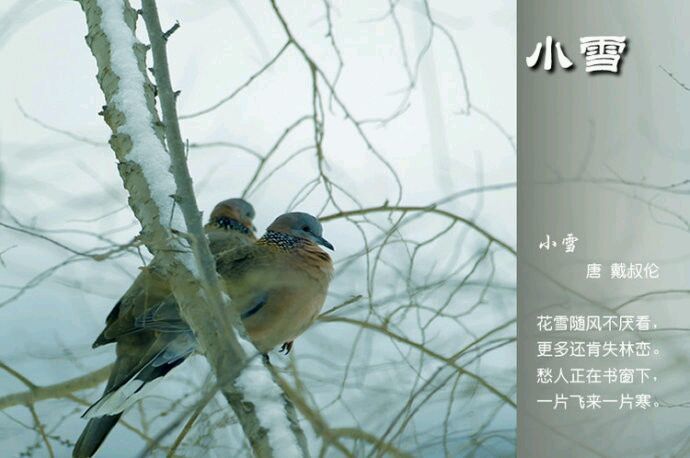 2015年01月23日 - xinlin198 - *平民博客*