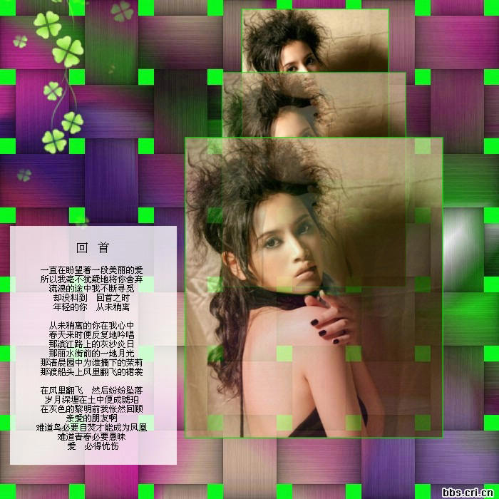 席慕容詩詞精選   - 老排长 - 老排长（6660409）