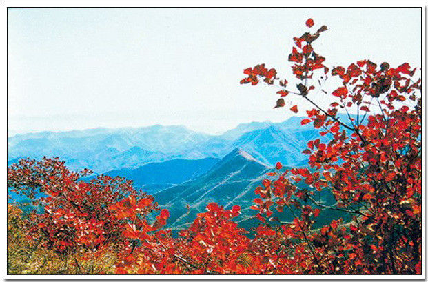 中国名山，景色怡人！ - 以博会友 - 以博会友