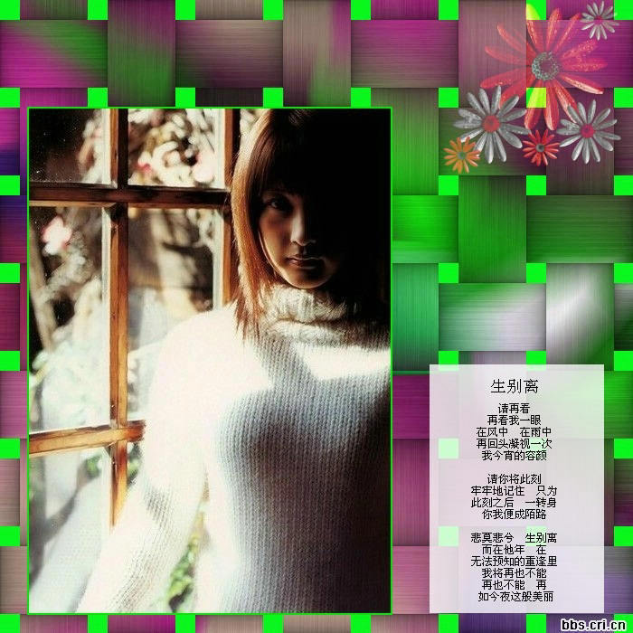 席慕容詩詞精選   - 老排长 - 老排长（6660409）