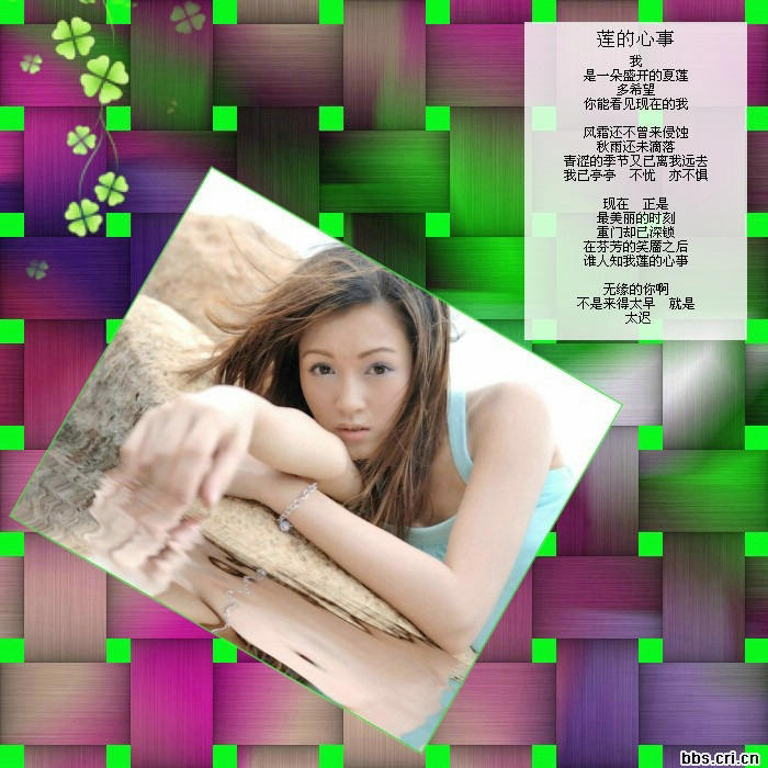  席慕容詩詞精選   - 老排长 - 老排长（6660409）