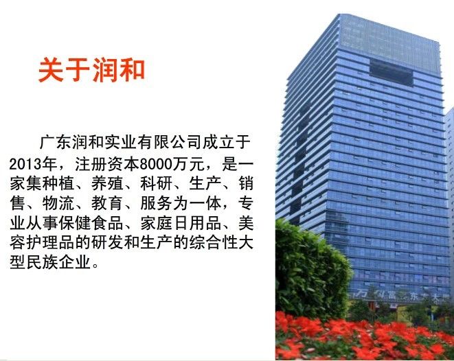 润和云山老师广东润和公司，产品，奖金制度，注册流程全面讲解