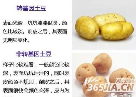 美国正式宣布转基因有毒!