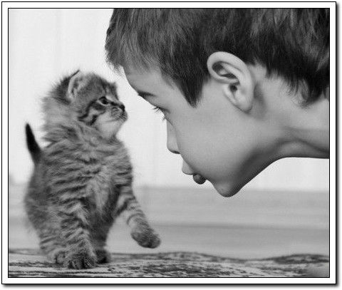 周末要轻松！【幽默图片50P】 - 無為居士 - 聚美齋