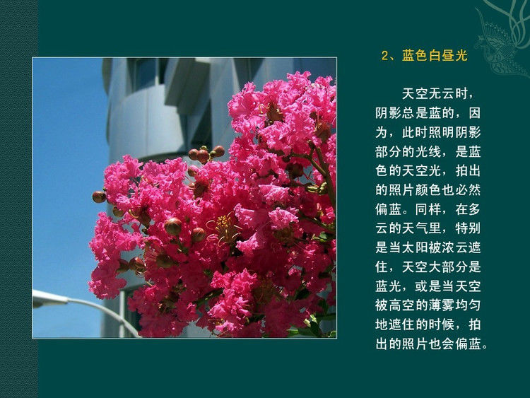 数码摄影入门讲座——摄影用光 - 遨游 - 遨游的博客