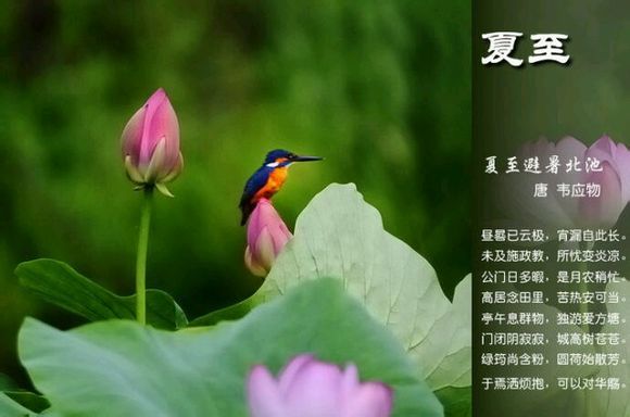 2015年01月23日 - xinlin198 - *平民博客*