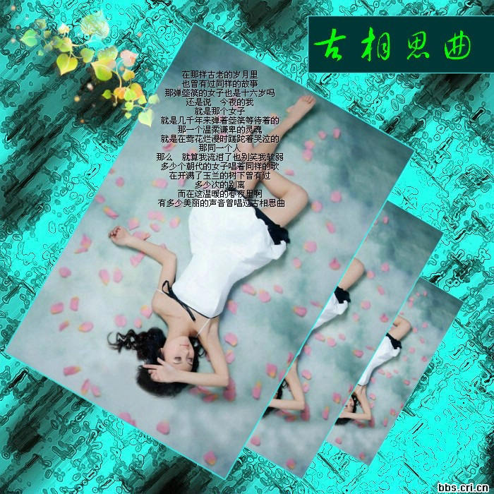 席慕容詩詞精選   - 老排长 - 老排长（6660409）