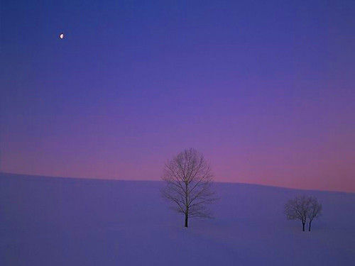 15种最美的月亮！【精美图文】 - 纳兰容若 - 纳兰容若