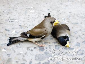 2011年08月28日 - 半妆女子 - 半妆女子