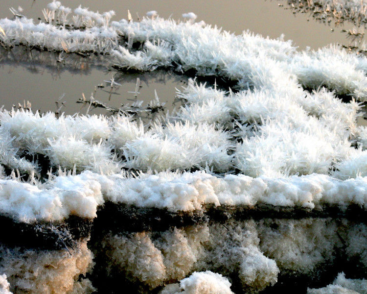 罕见的盐湖硝花【原创】