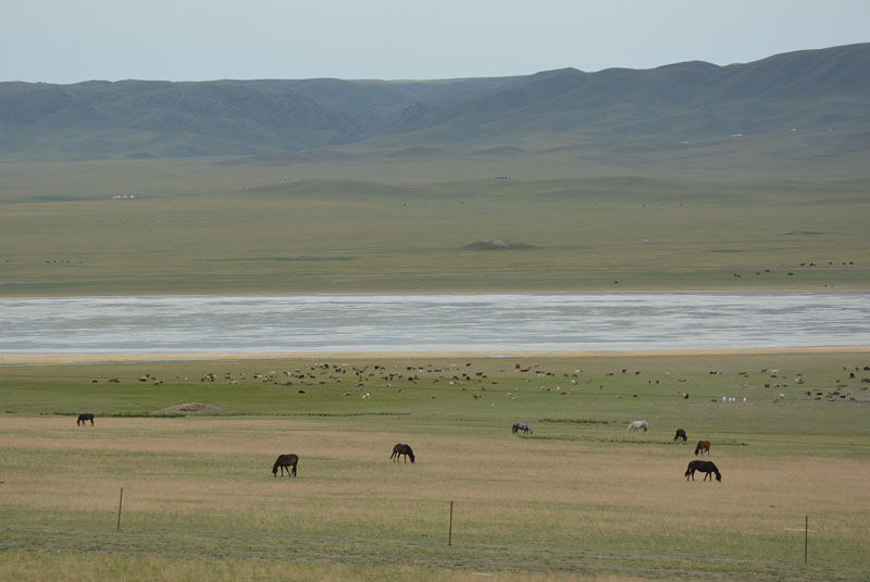 走近阿拉山口国门 - 木子弓长 - 驴游记