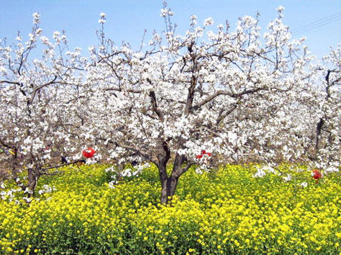 全国仅存的人民公社 无一人外出打工【图】 - 美体、情感、博文精品 - 美体情感、心灵驿站