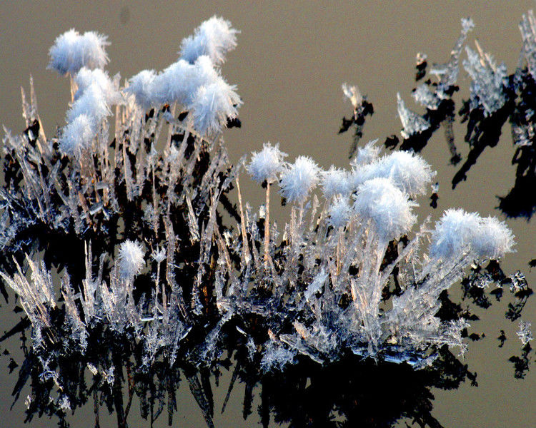 罕见的盐湖硝花（原创