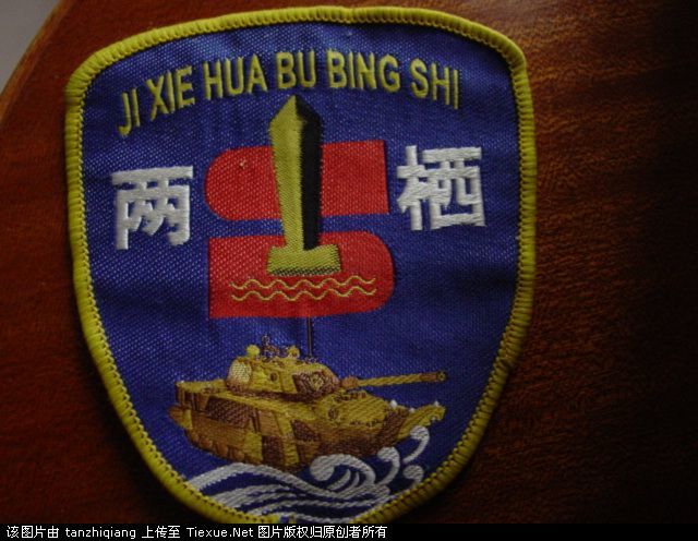 两栖机械化步兵师