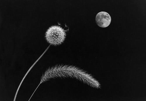 15种最美的月亮！【精美图文】 - 纳兰容若 - 纳兰容若