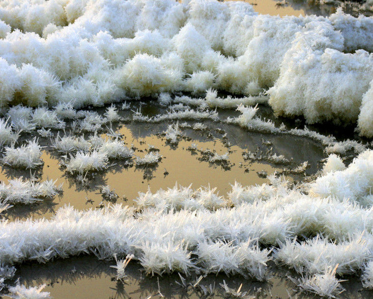 罕见的盐湖硝花（原创）