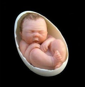 神秘世界56大诡异谜团(图)