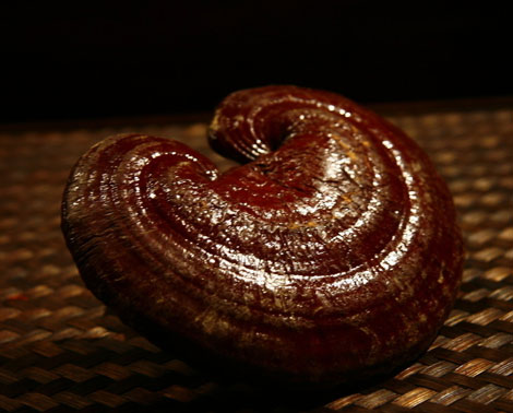  灵芝抗衰老的六大食补秘笈