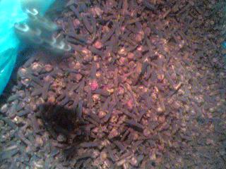 丁香[别名；公丁香，丁香子，母丁香。]功能；温肾助阳，。作用；驱腥增香。