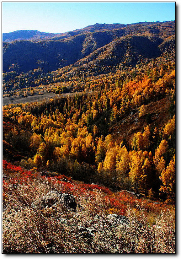 秋旖旎秋色 美不胜收  伊水一方 开心屋