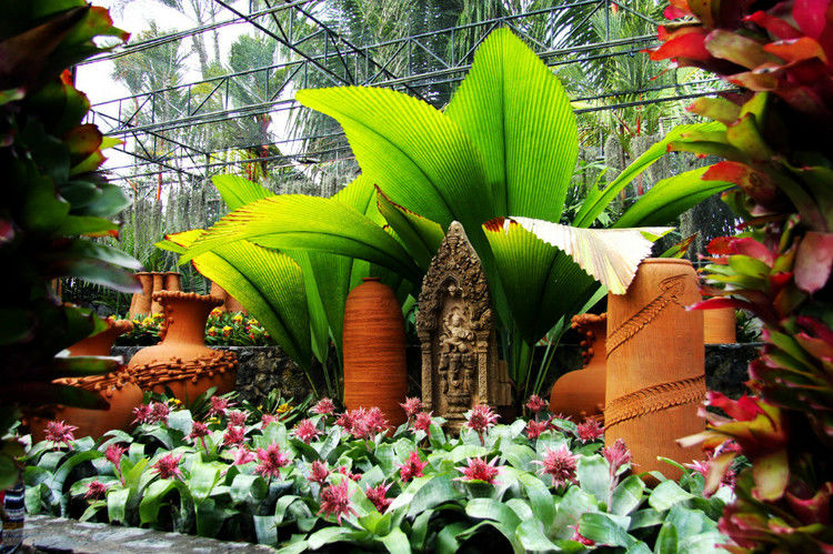 【引用】нуч花园轩弄。泰国 - 枫林傲然 -                  .