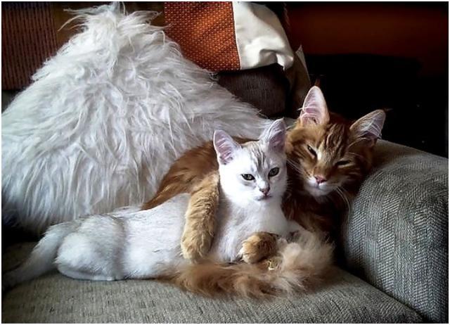 老公对你做这9个动作，你会发现，他比你想象的更爱你