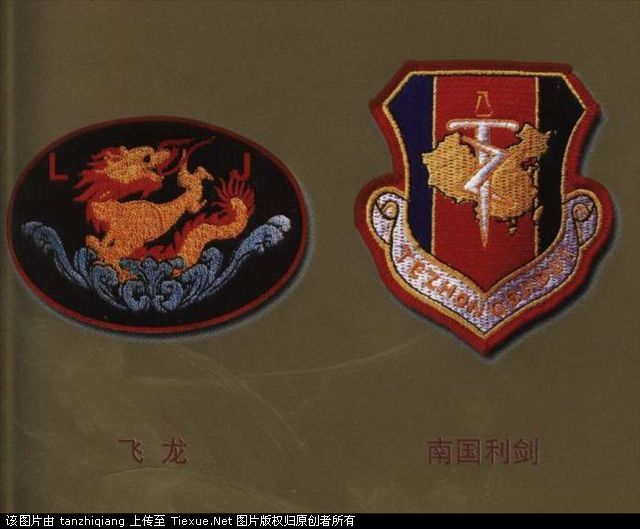 南京军区飞龙特种部队、广州军区南国利剑特种部队