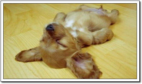 周末要轻松！【幽默图片50P】 - 無為居士 - 聚美齋