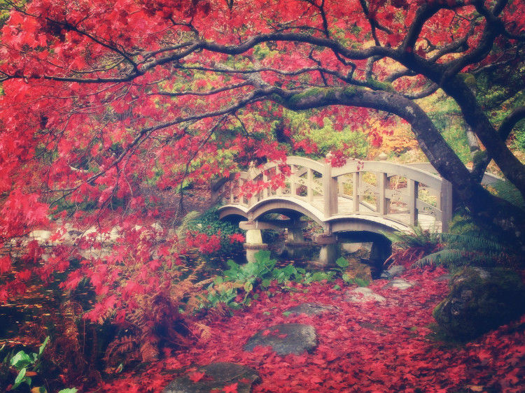 中外桥梁  美景大全 -