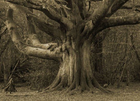 神秘世界56大诡异谜团(图)