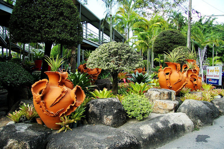 【引用】нуч花园轩弄。泰国 - 枫林傲然 -                  .