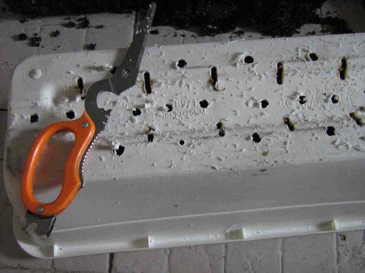 养花、养草、盆栽基础知识 - 美体、情感、博文精品 - 美体情感、心灵驿站