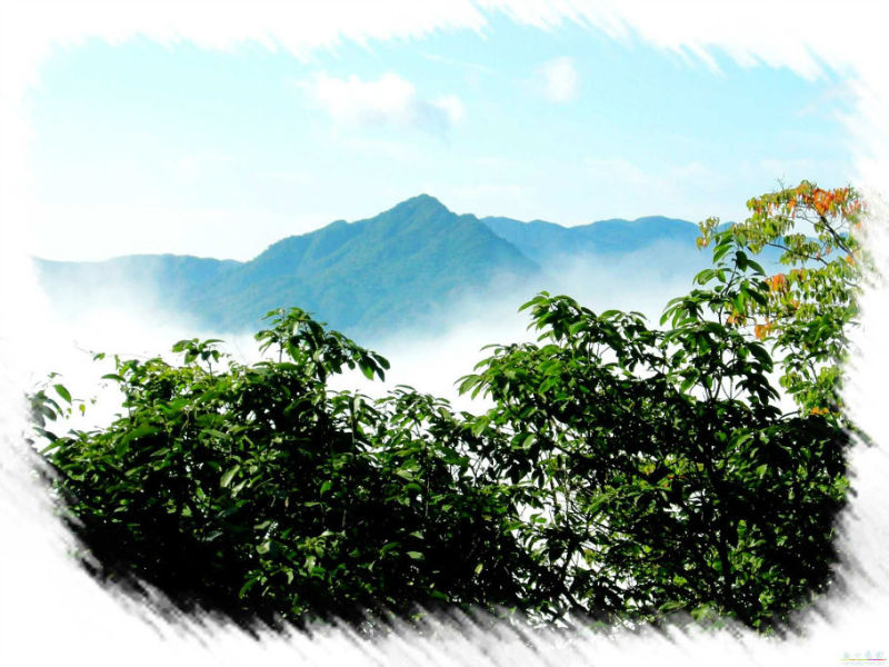 中国112座名山欣赏（二） - 空谷幽兰 - 空谷幽兰憩居