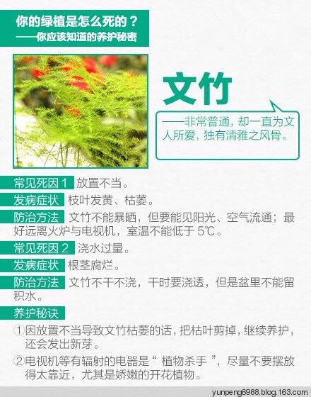 9张图告诉你，为什么你总把花养死【图文】 - 云鹏润峰 - 云鹏潤峰