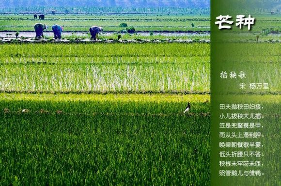 2015年01月23日 - xinlin198 - *平民博客*