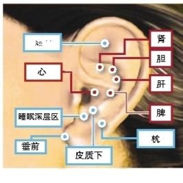 经络按摩全图 不花钱不生病的养生方法
