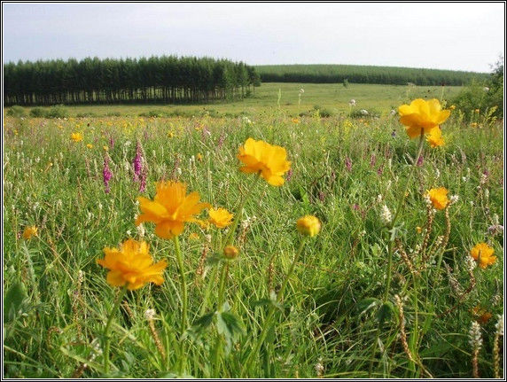 美丽中国之美景大全！【巨量合集】 - 無為居士 - 聚美齋