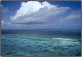 【引用】地球人都该知道的25个世界之最 - 兰花草 - 心香一瓣