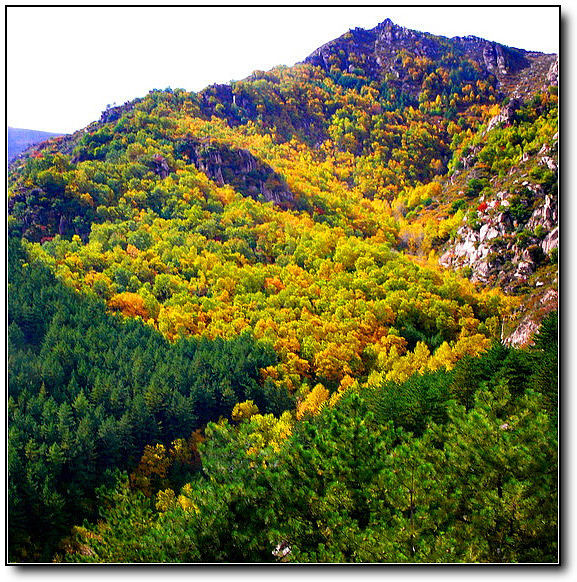 秋旖旎秋色 美不胜收  伊水一方 开心屋