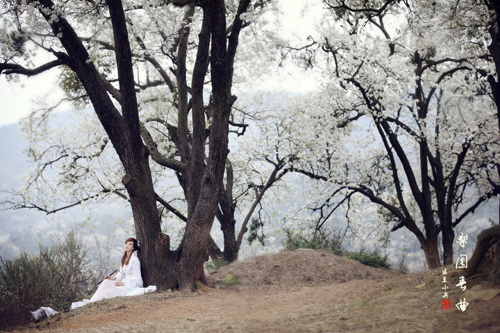 五十首最凄美的宋词 - 雨墨馨香 - 雨墨馨香 之 墨黛含烟
