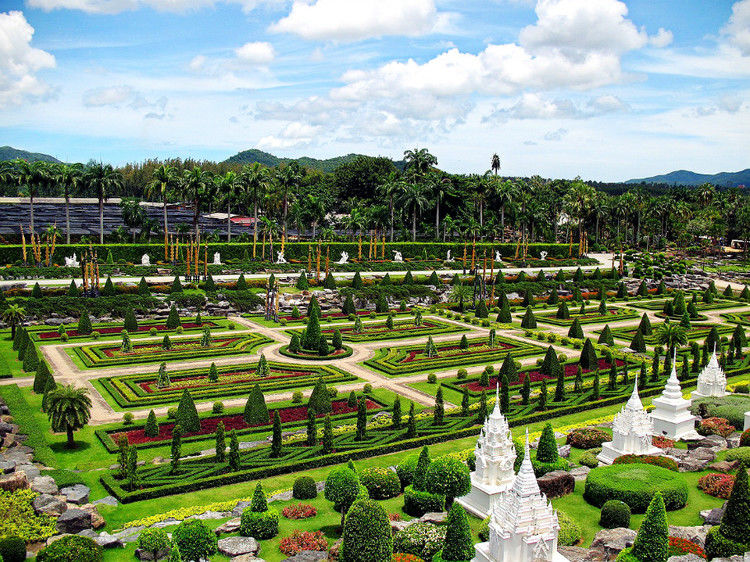 【引用】нуч花园轩弄。泰国 - 枫林傲然 -                  .