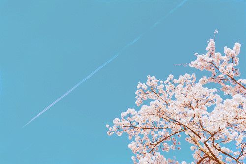 插画心语：你的心很小，不要装下太多忧伤| jiaren.org