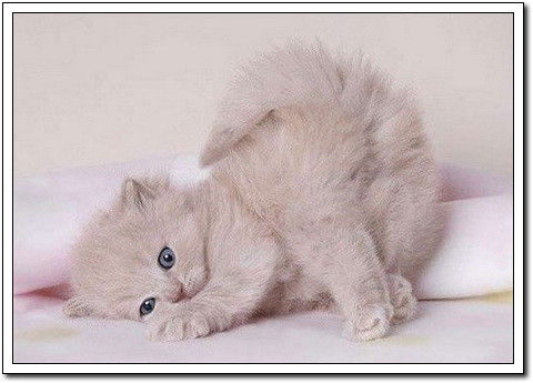 周末要轻松！【幽默图片50P】 - 無為居士 - 聚美齋