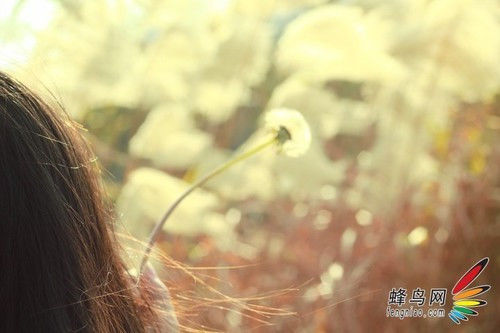 搞定相机里最有用的设置，出好照片不再难【图】 - 云鹏润峰 - 云鹏潤峰