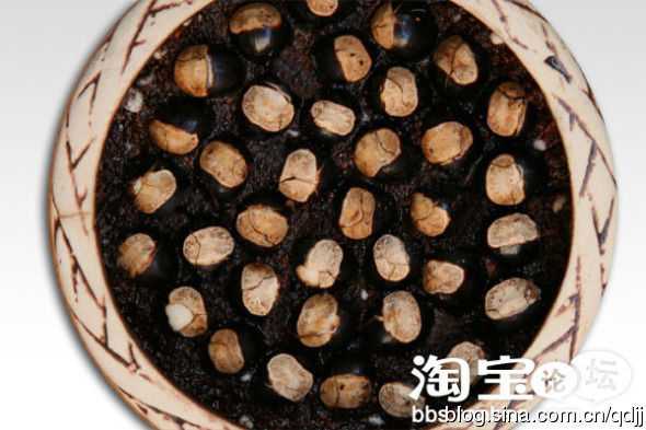 吃剩的桂圆核不要扔 花些心思变成小盆栽 - 雪松 - sywy676893 的博客
