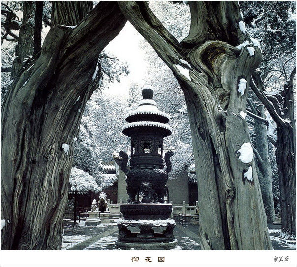 北京故宫知识大全！【文化历史】 - 無為居士 - 聚美齋
