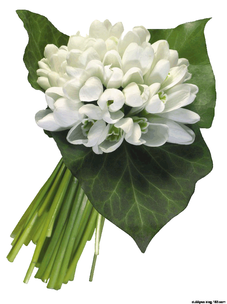 《房本过户》知识保存好，谁都用得着 - 地狱壳子 - 壳子的博客