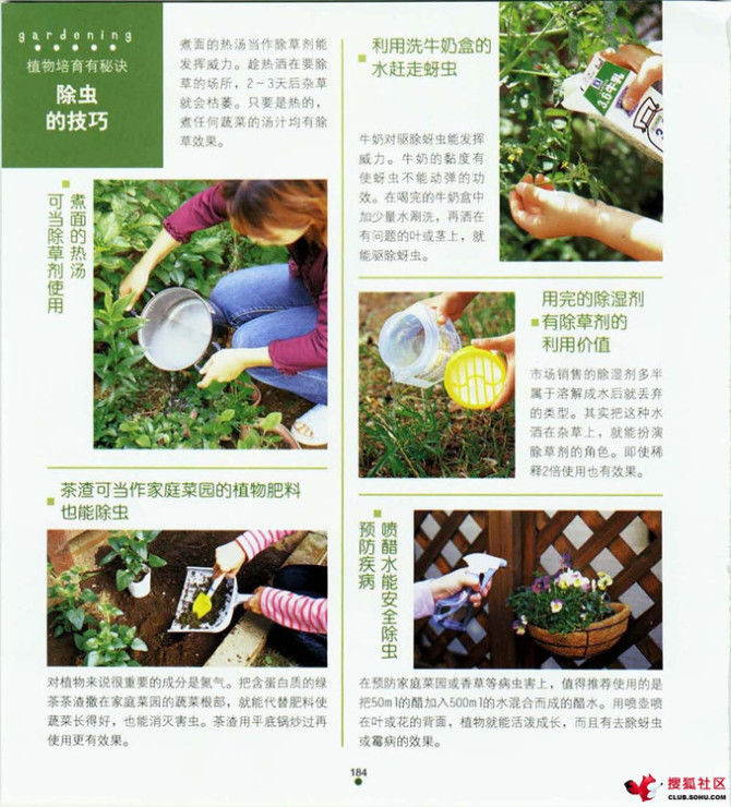 家中小事展现智慧与才艺，天哪，太实用了 - 静水流风 - 蚂蚁闯红灯