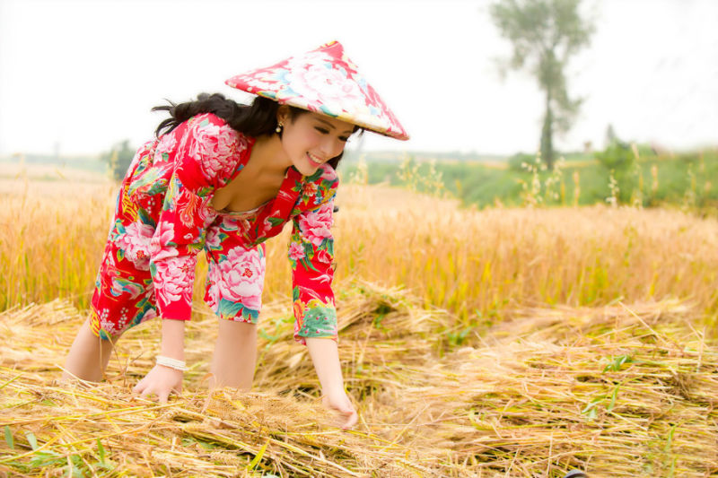 麦子熟了【美女素材】 - 我是一片云 -             我是一片云