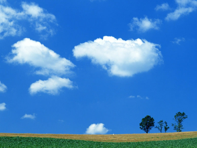 蓝天白云草原 - 雁飞墨行 - 精品博客